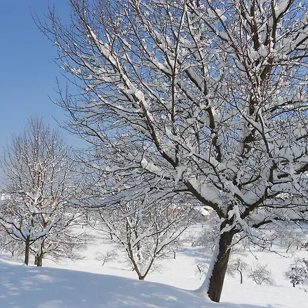 Fruehstueckspension Liebmann Bed & Breakfast *