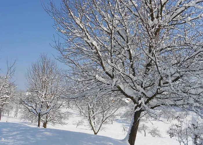 Fruehstueckspension Liebmann فندق مبيت وإفطار *