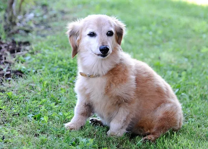 Fruehstueckspension Liebmann فندق مبيت وإفطار دويتشلاندزبرغ